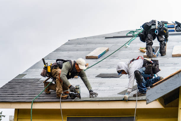 Professional Storm Damage Roof Repair technician working in Slade, KY
